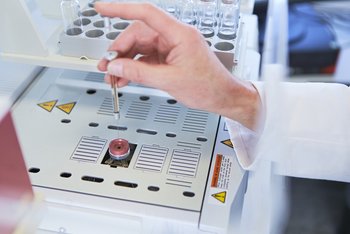 <p>Spurenanalyse mit dem Gasgromatograph</p>